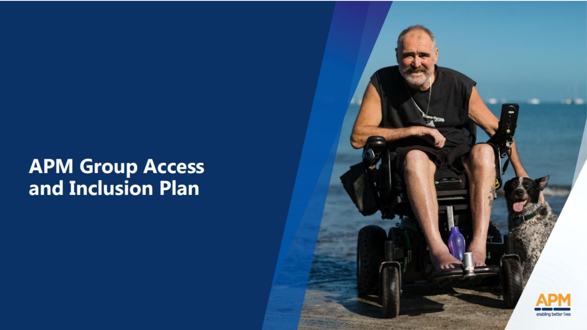 APM Access and Inclusion Plan